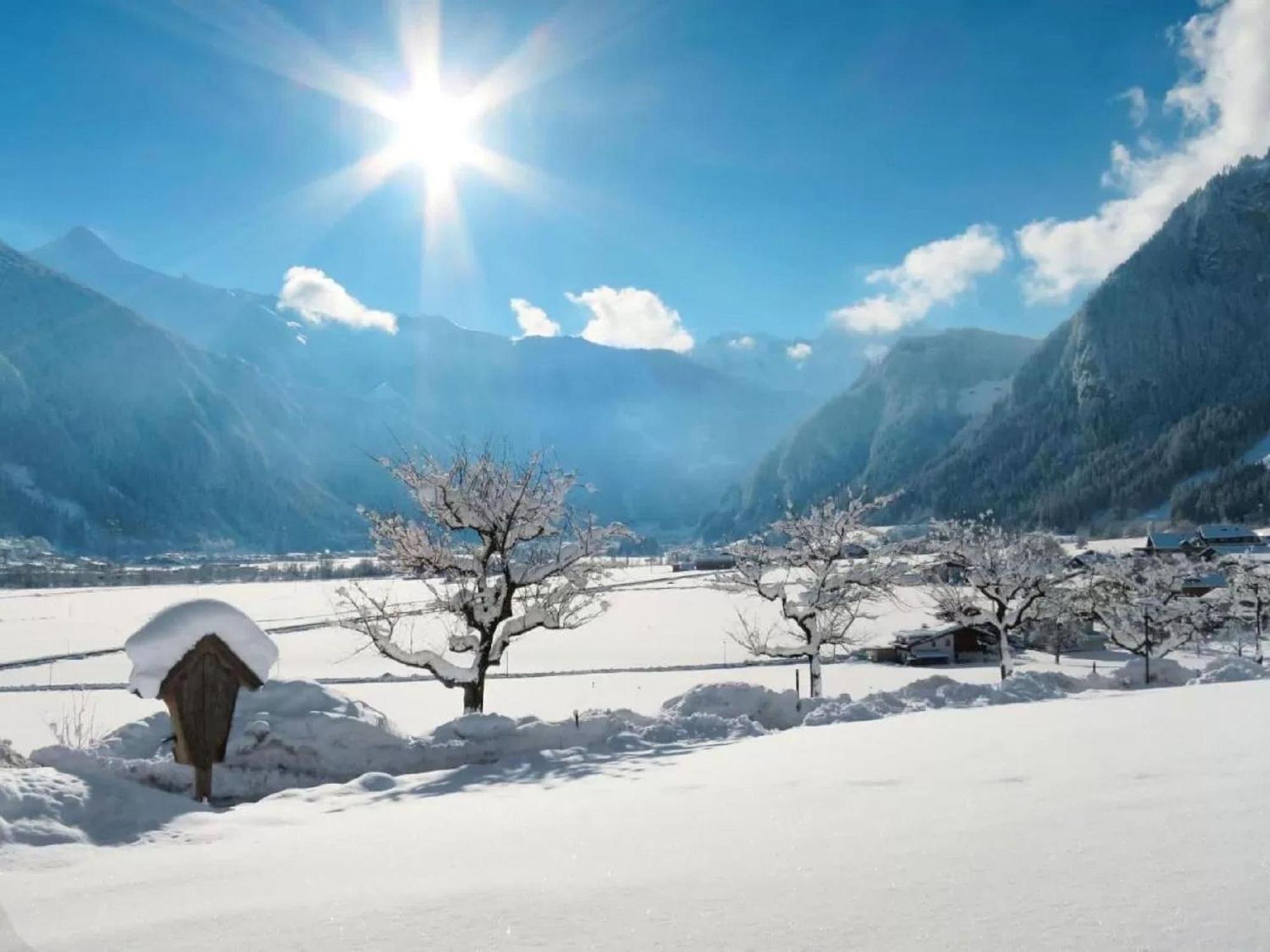 Apartment With Panoramic View Ramsau im Zillertal Esterno foto