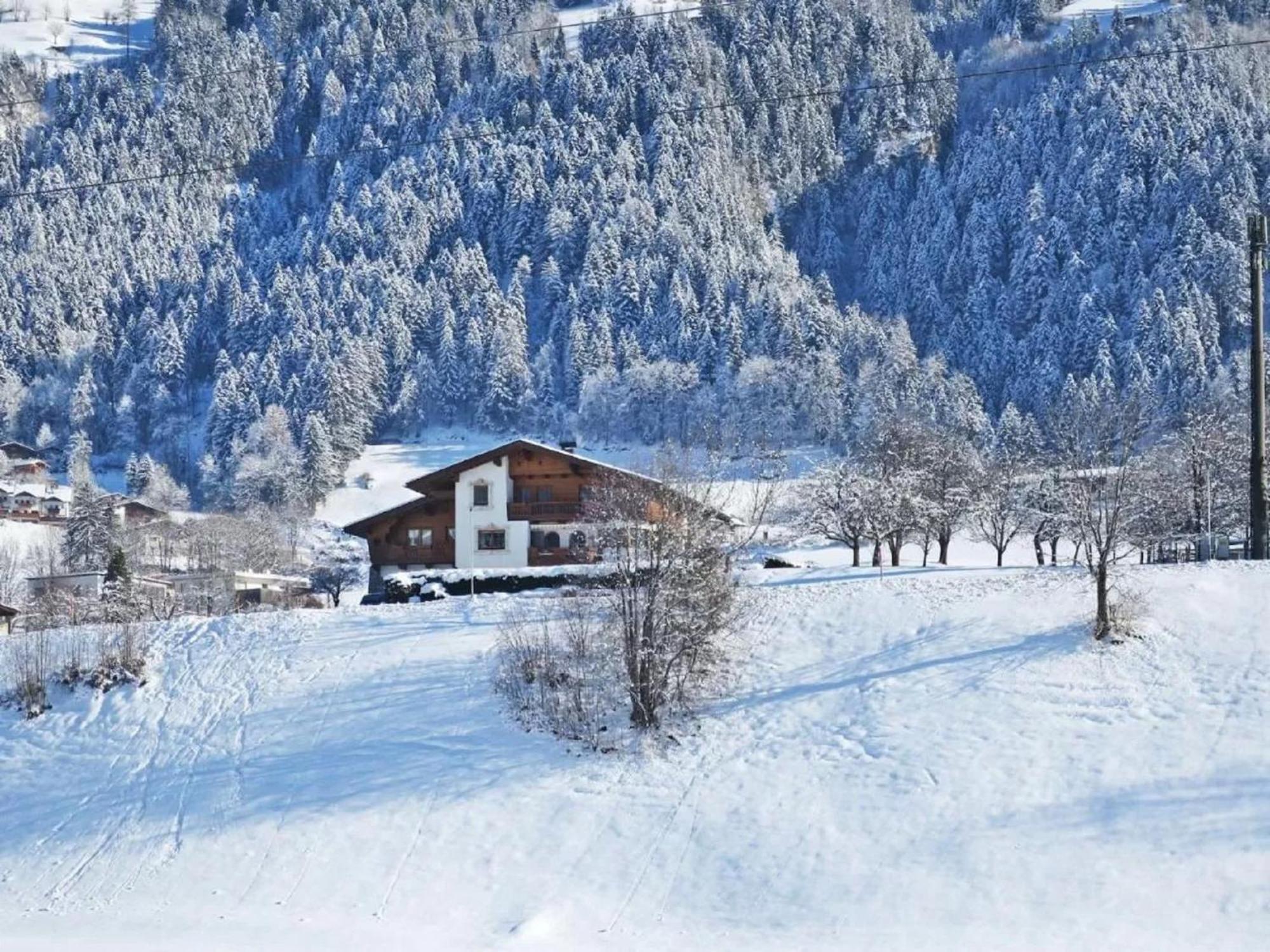 Apartment With Panoramic View Ramsau im Zillertal Esterno foto